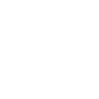 S-HANDE